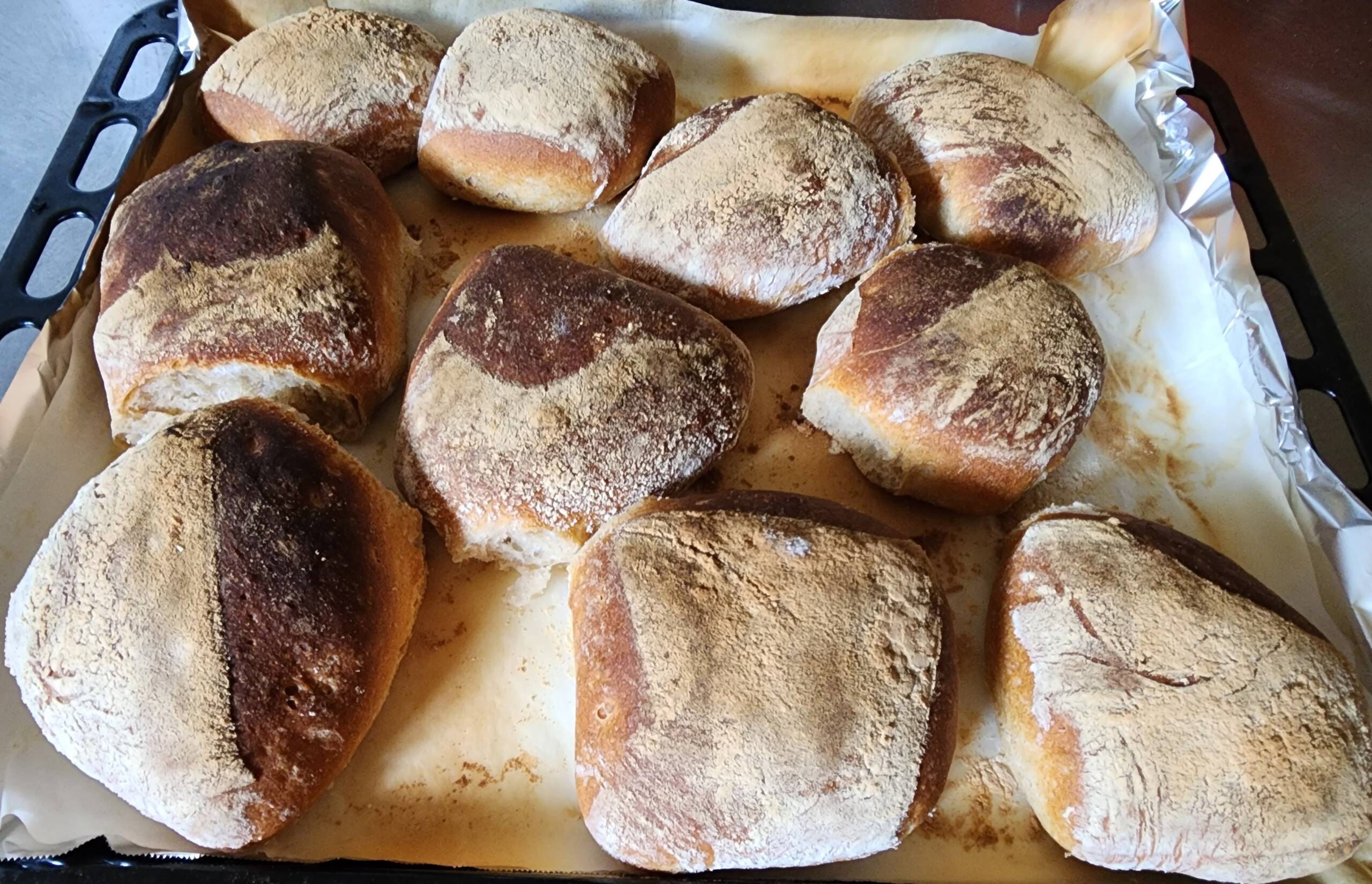 BreadStarters.com — A Warm, Memorable Brand Ready to Rise